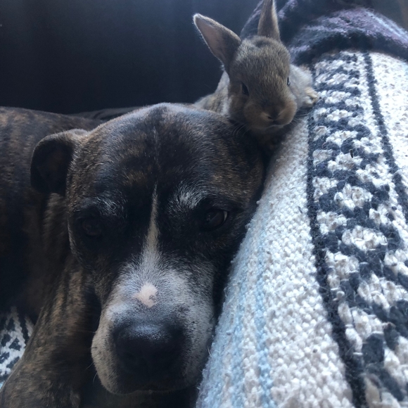 Meet your Posher, Marissa - Picture 1 of 1